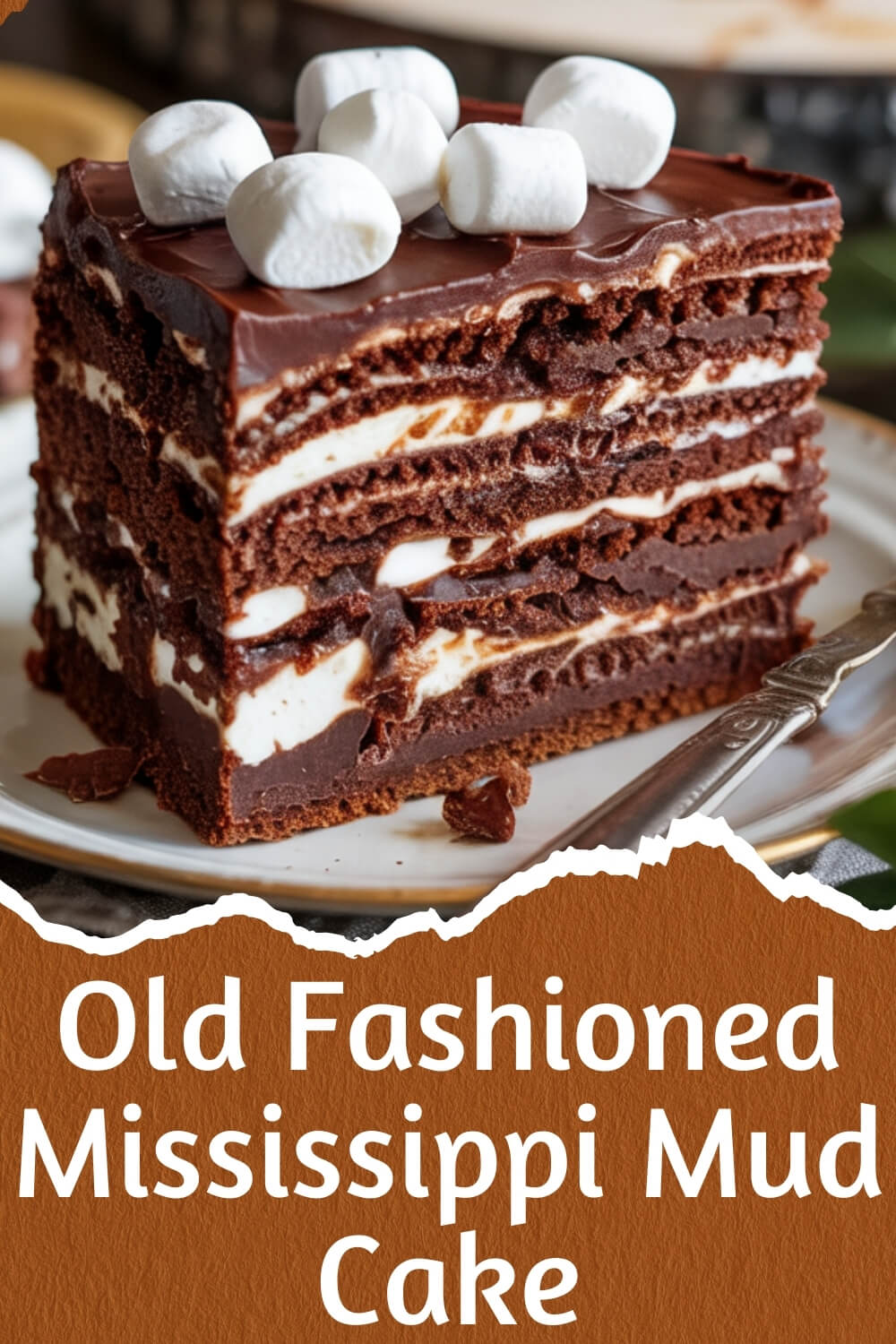 Mississippi Mud Cake
